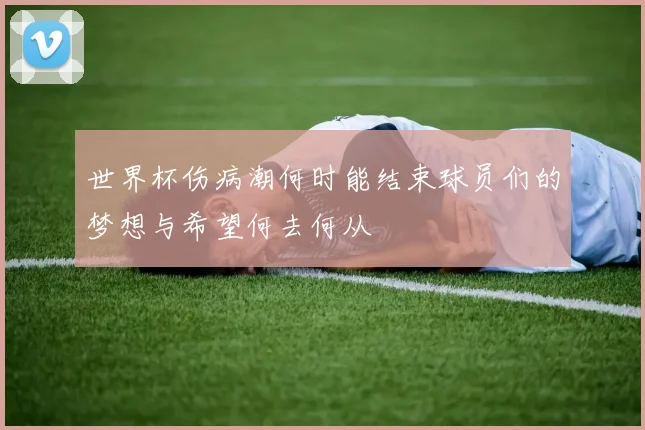 世界杯伤病潮何时能结束球员们的梦想与希望何去何从