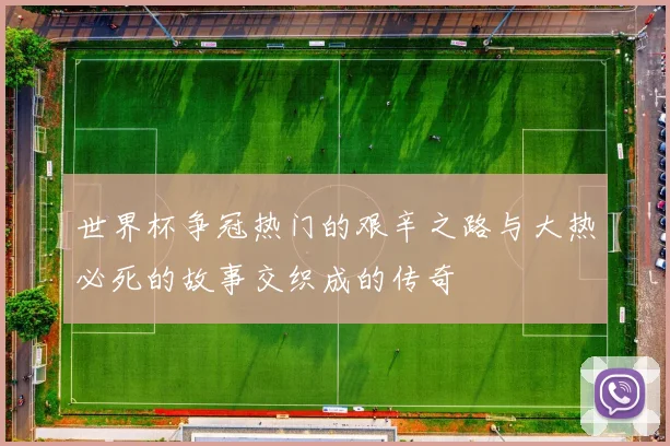 世界杯争冠热门的艰辛之路与大热必死的故事交织成的传奇
