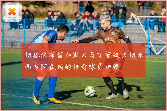 切赫法布雷加斯大马丁曾效力切尔西与阿森纳的传奇球员回顾